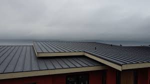 Fast & Reliable Emergency Roof Repairs in Swannanoa, NC